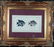 Marcus Elieser Bloch. 2 Ichthyology Plates. c.1780 - 3