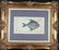 Marcus Elieser Bloch. 2 Ichthyology Plates. c.1780 - 4