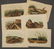 Audubon. Quadrupeds. 23 plates. Octavo Edition. - 2