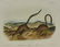 Audubon. Quadrupeds. 23 plates. Octavo Edition. - 6