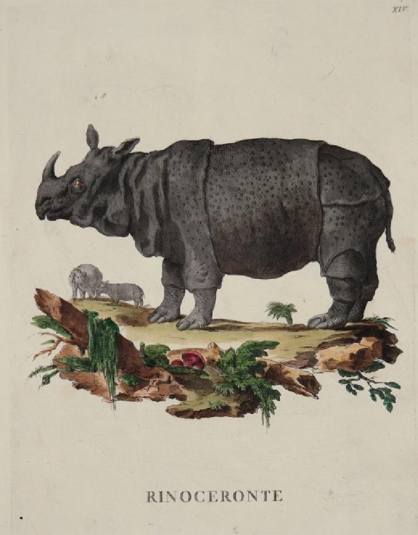 Innocente Alessandri. 4 Animali Engravings. 1772. (1 of 10)