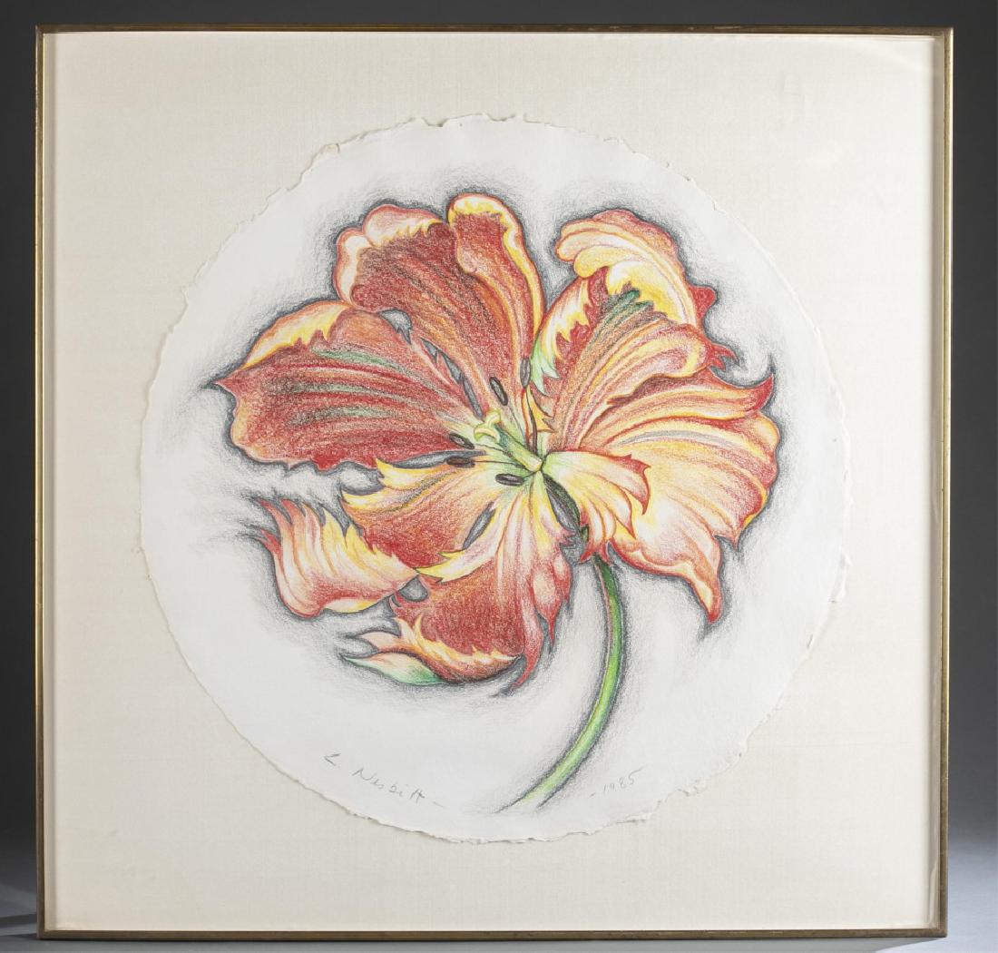 Lowell Nesbitt, Untitled Tulip, drawing. (1 of 5)
