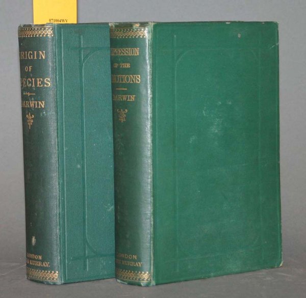Darwin: EMOTIONS, 1st ed. + THE ORIGIN OF SPECIES: Darwin, Charles. 2 Titles. Lon: John Murray. 8vo. Green cloth moderately worn and soiled, hinges cracked, minor foxing. ++ The Origin Of Species By means of Natural Selection. . . 1884. xxi,458pp. 6th