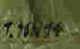 item-75330471=4