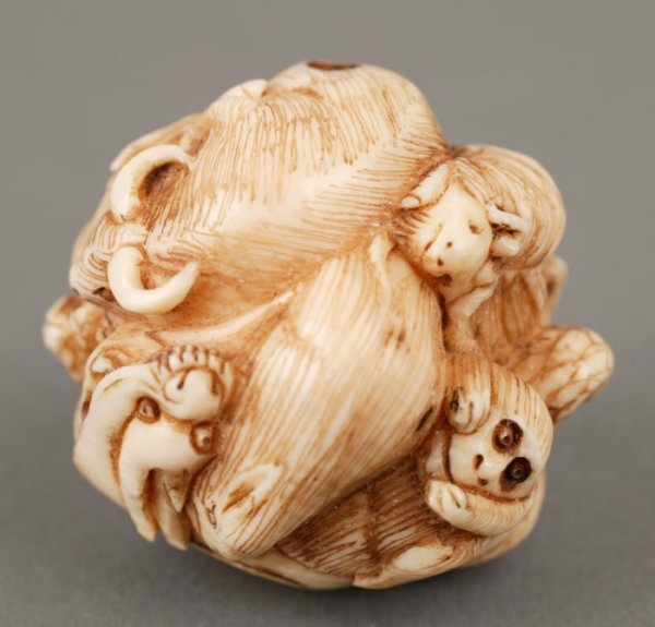 Elephant ivory carved netsuke depicting animals - 5