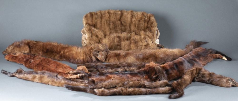 5 Fur pelt stoles, muff, & collar.: A group of five fur pelt stoles, muff, and collar. ++ Three mink pelt stoles. Two brown one red. Largest: 57". Smallest: 50". ++ Brown squirrel fur muff. Interior lining shattered. 12" x 15". ++ Brown