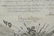 Abraham Lincoln Sgd Military Appointment. 1864. - 2