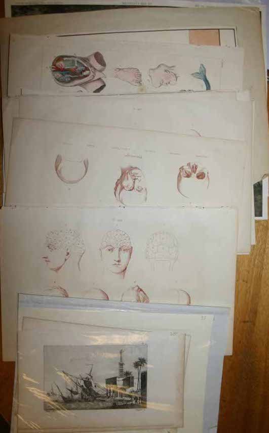 19 items, incl. 6 anatomy & 3 phrenology plates. - 3