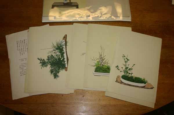 Color woodcuts + ~39 color plates of flowers. - 2
