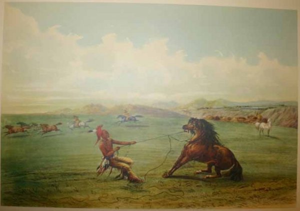6 Collotypes: George Catlin's... Indian Portfolio - 4