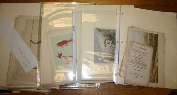 ~69 Prints, incl. 16 plates from LA PERSE..., 182