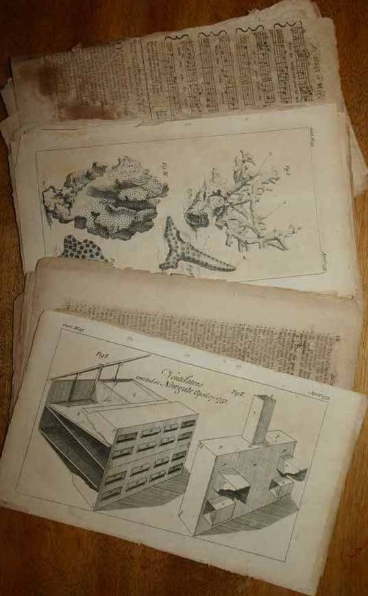 ''Gentleman's magazine''-- 9 engravings ~19 woodc