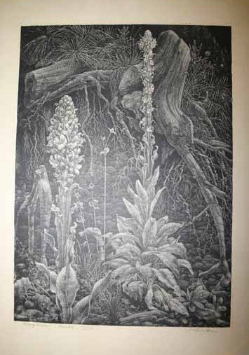 16 prints: Portraits, landscape, abstract images. - 5