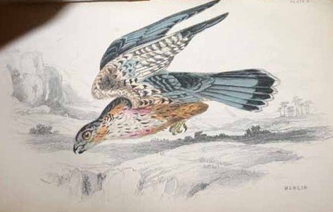 The Naturalist's Library. Vols I and XXVII - 2