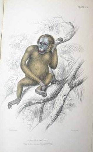 The Naturalist's Library. Vols I and XXVII - 3