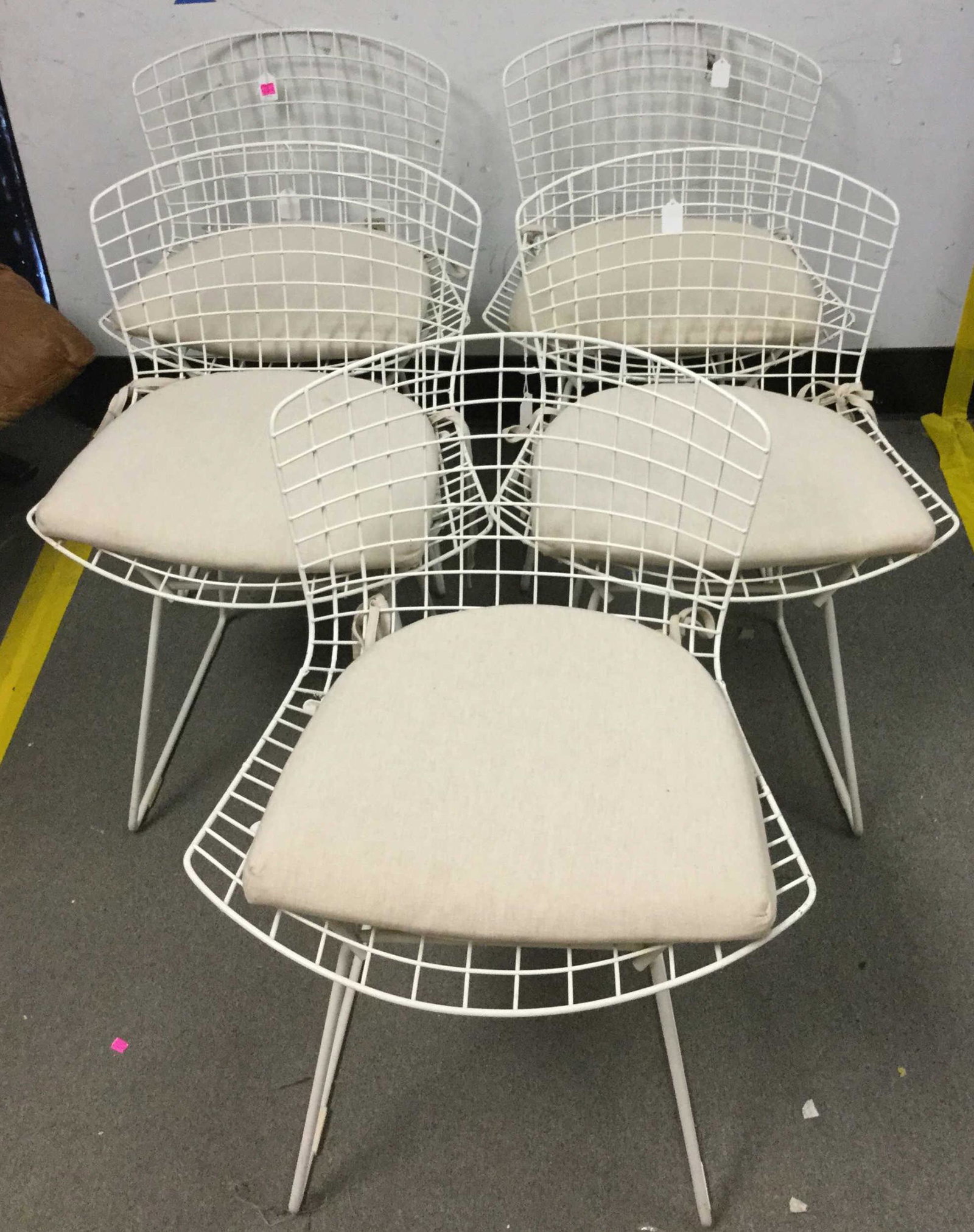 5 Harry Bertoia Knoll Style Side Chairs: 5 Harry Bertoia Knoll Style Side Chairs