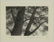Ryohei Tanaka. 4 etchings. Roofs and Trees. - 2