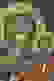 item-86324284=4