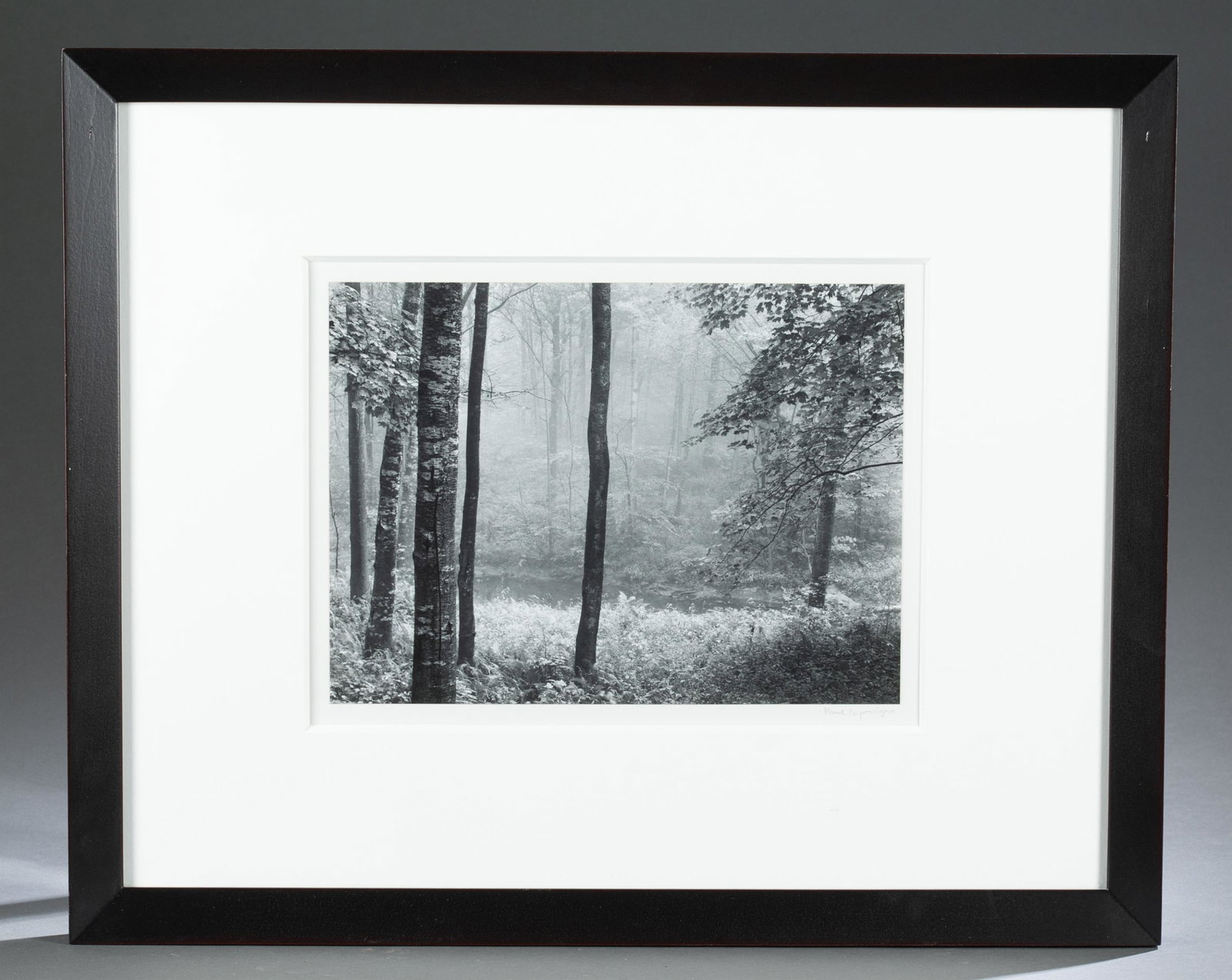 Paul Caponigro. Silver Print. Redding Woods. 1969.: Caponigro, Paul (American, b.1932). "Redding Woods". 1969. Silver Print. Signature in pencil l.r. Image: 8" x 11.25". Framed: 21.5" x 17.5". Net proceeds from this sale with be divided equally between