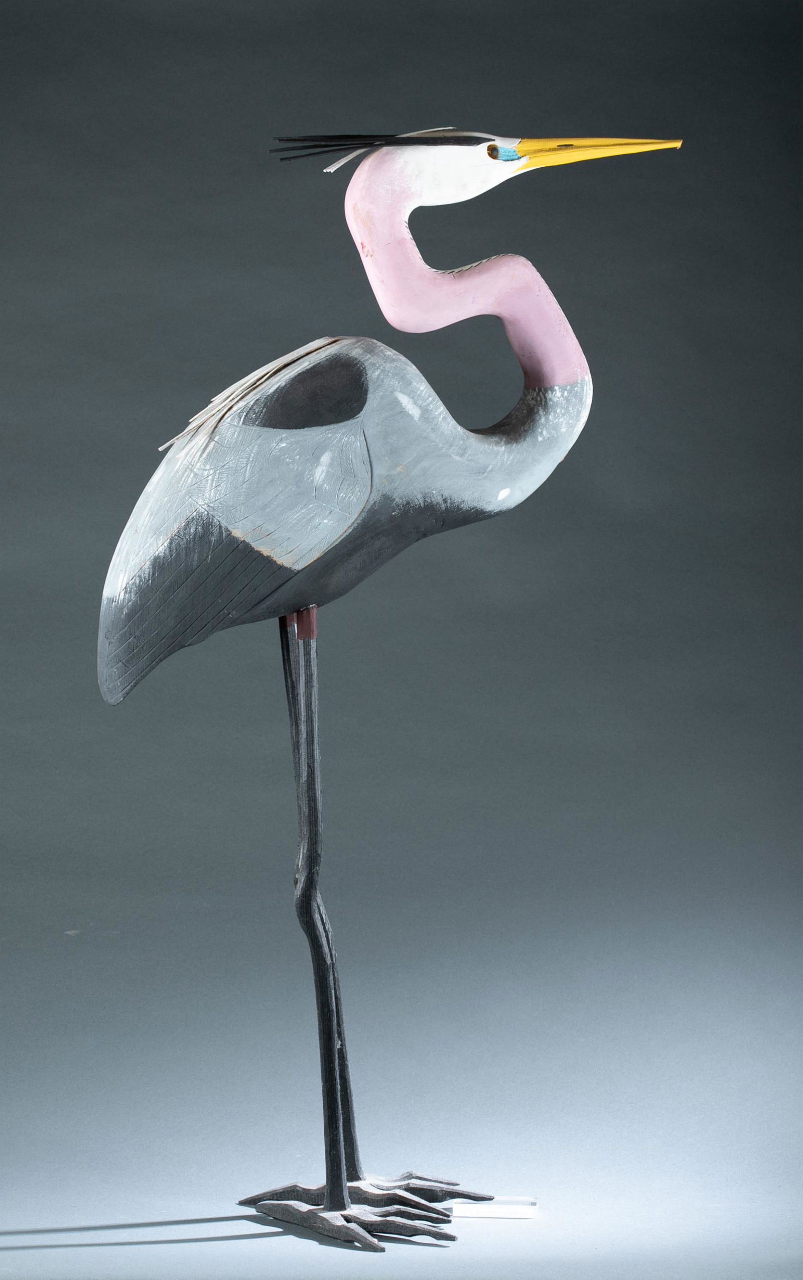 Ivy Billiot, great blue heron. (1 of 5)