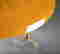 item-104532977=5