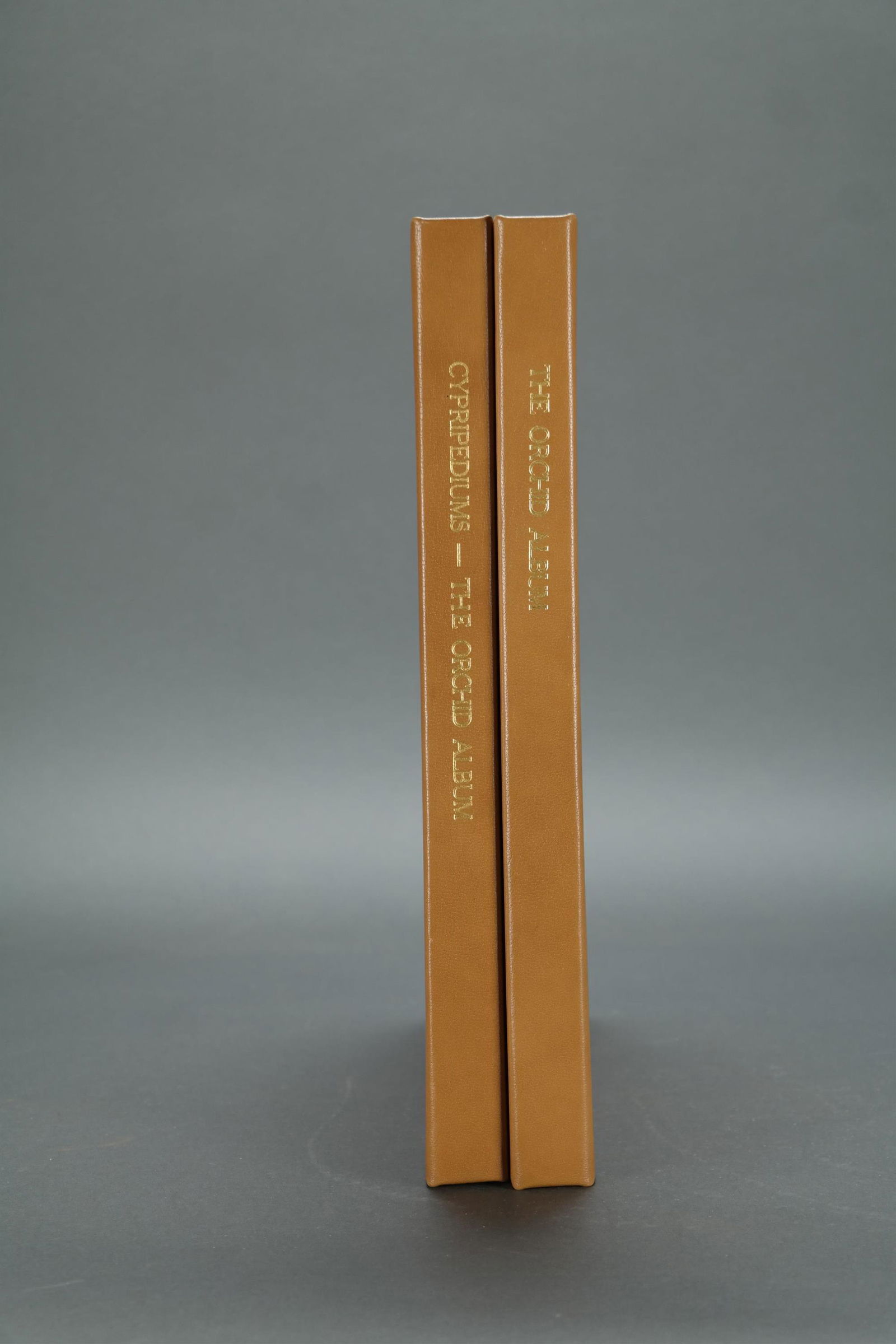 Warner. 82 Plates from the Orchid Album. 1882-97. (1 of 10)