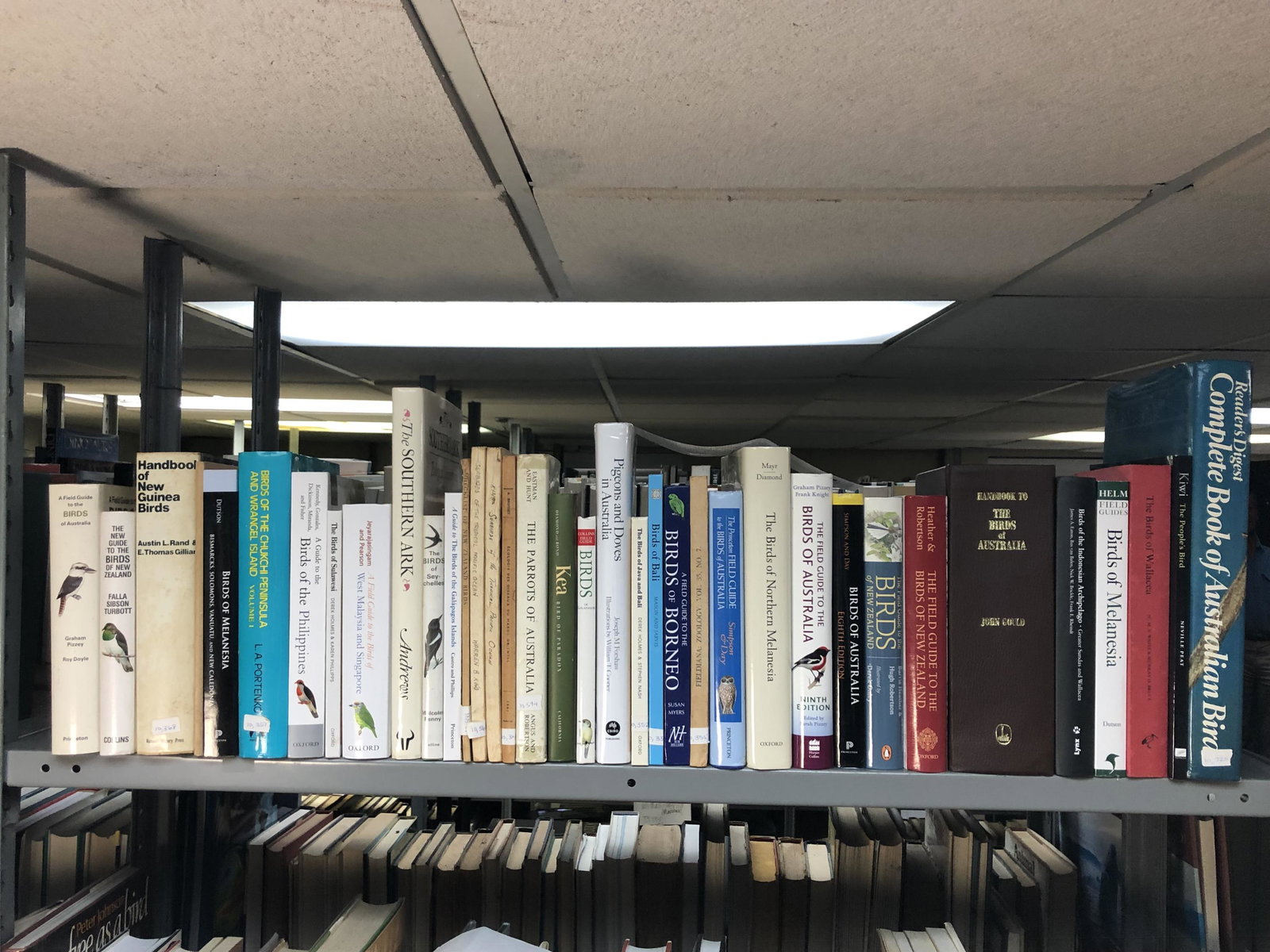 36 vols. Ornithology Australia/New Zealand/Pacific (1 of 3)