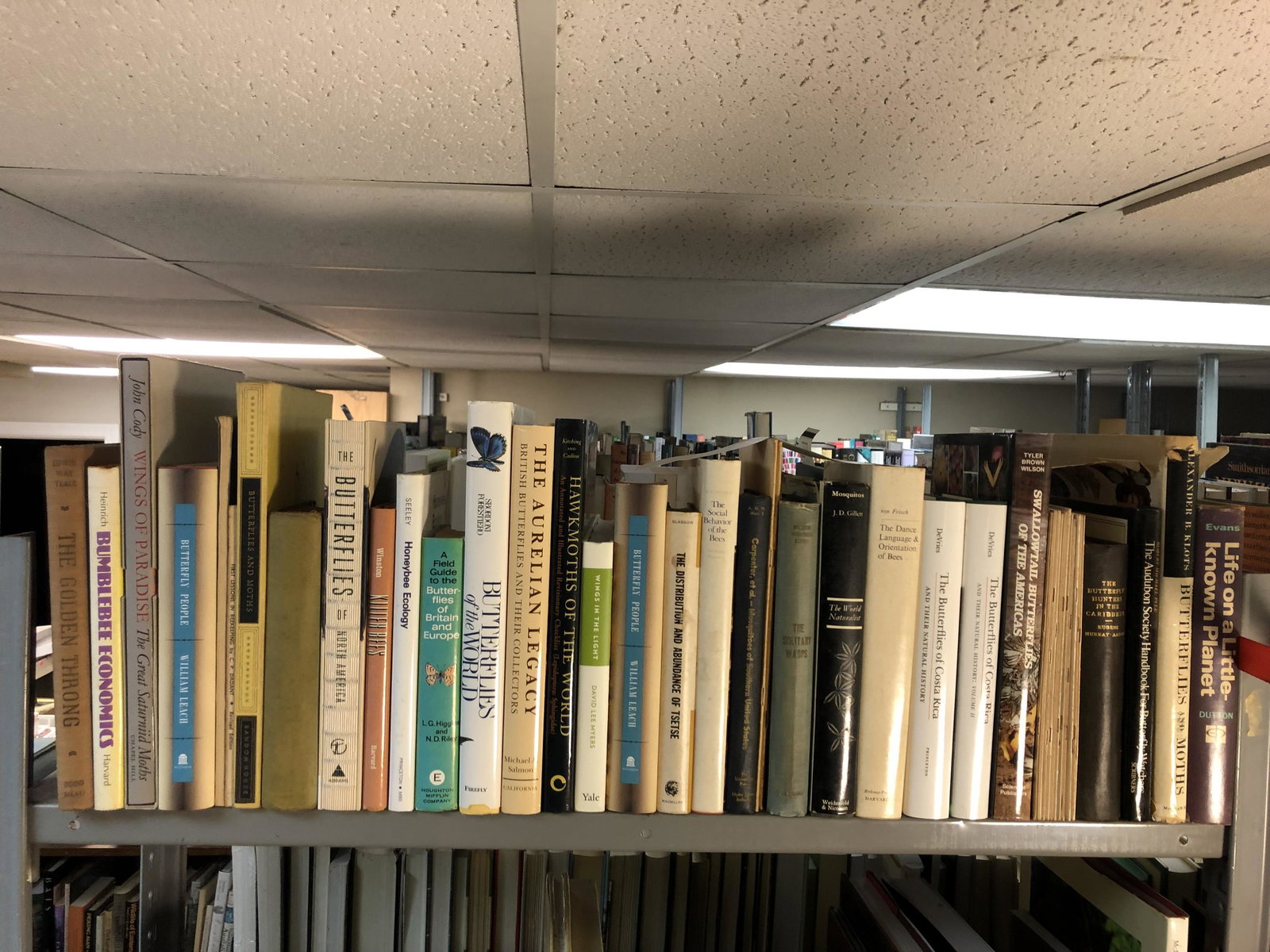 44 vols Butterflies/Other Insects (1 of 3)