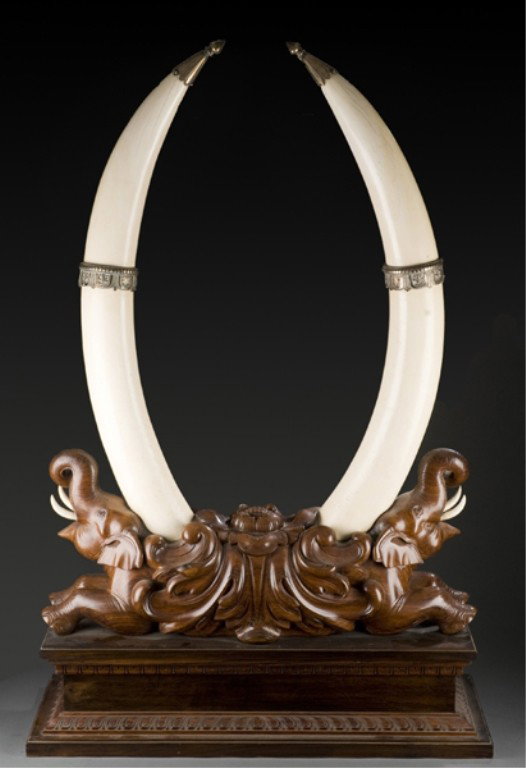2 Indian elephant tusks on carved rosewood base.: Pair of Ivory Indian elephant tusks on a carved elephant form rosewood base. c.1960s. Two tusks with metal decorations, mounted vertically on a wood carved base depicting two elephants with a central 