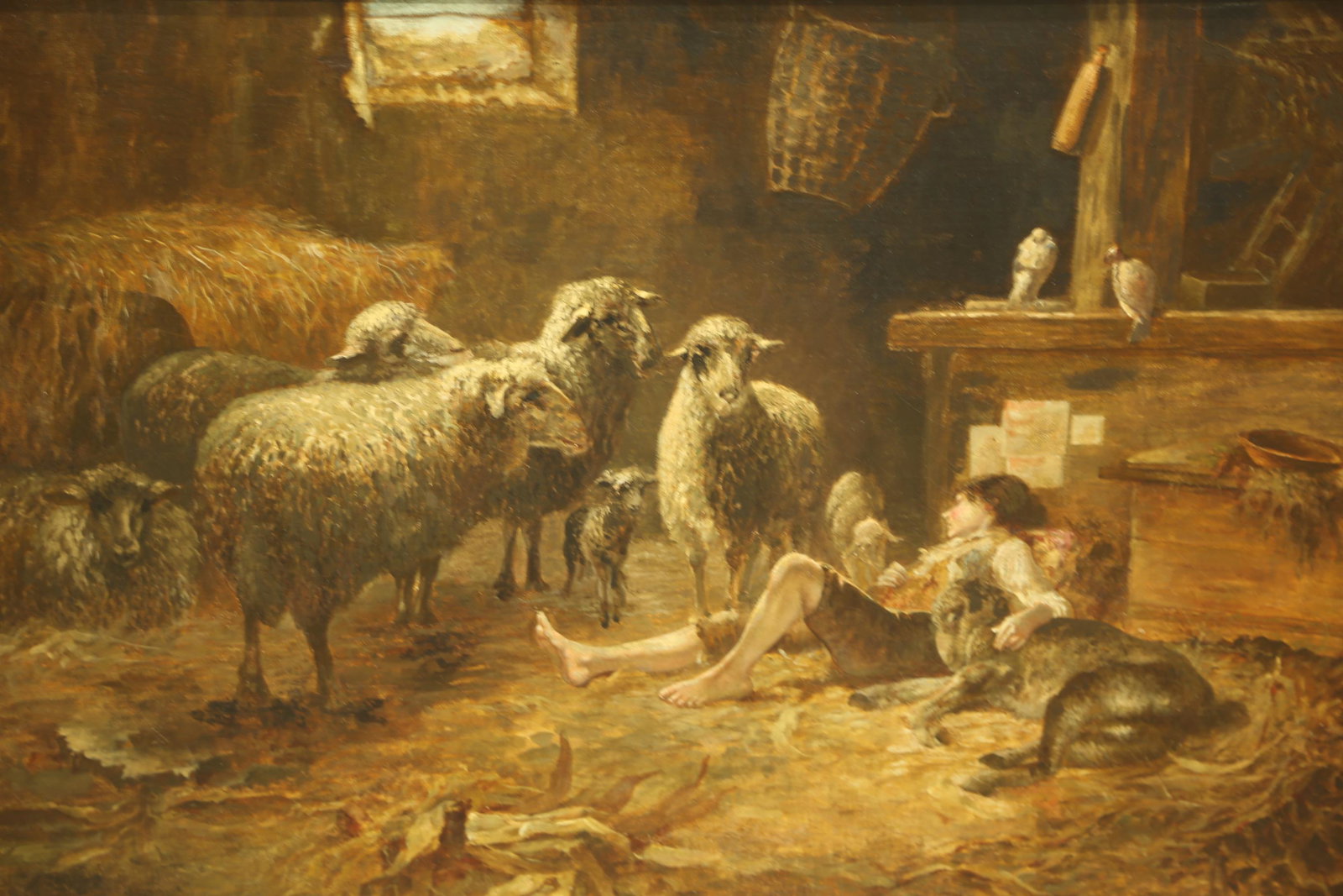 Carl Weustenfeld, Sleeping shepherd, O/C.: Weustenfeld, Carl. Sleeping shepherd. Oil on canvas. 20th century. Signed l.l. Sight: 19 3/4" x 29 1/2". Frame: 33" x 42 1/2".Condition: Relined, wax finish on verso.