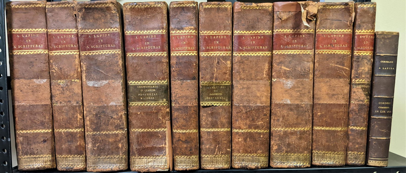 Lapide. Commentaria. 11 volumes. (1 of 1)