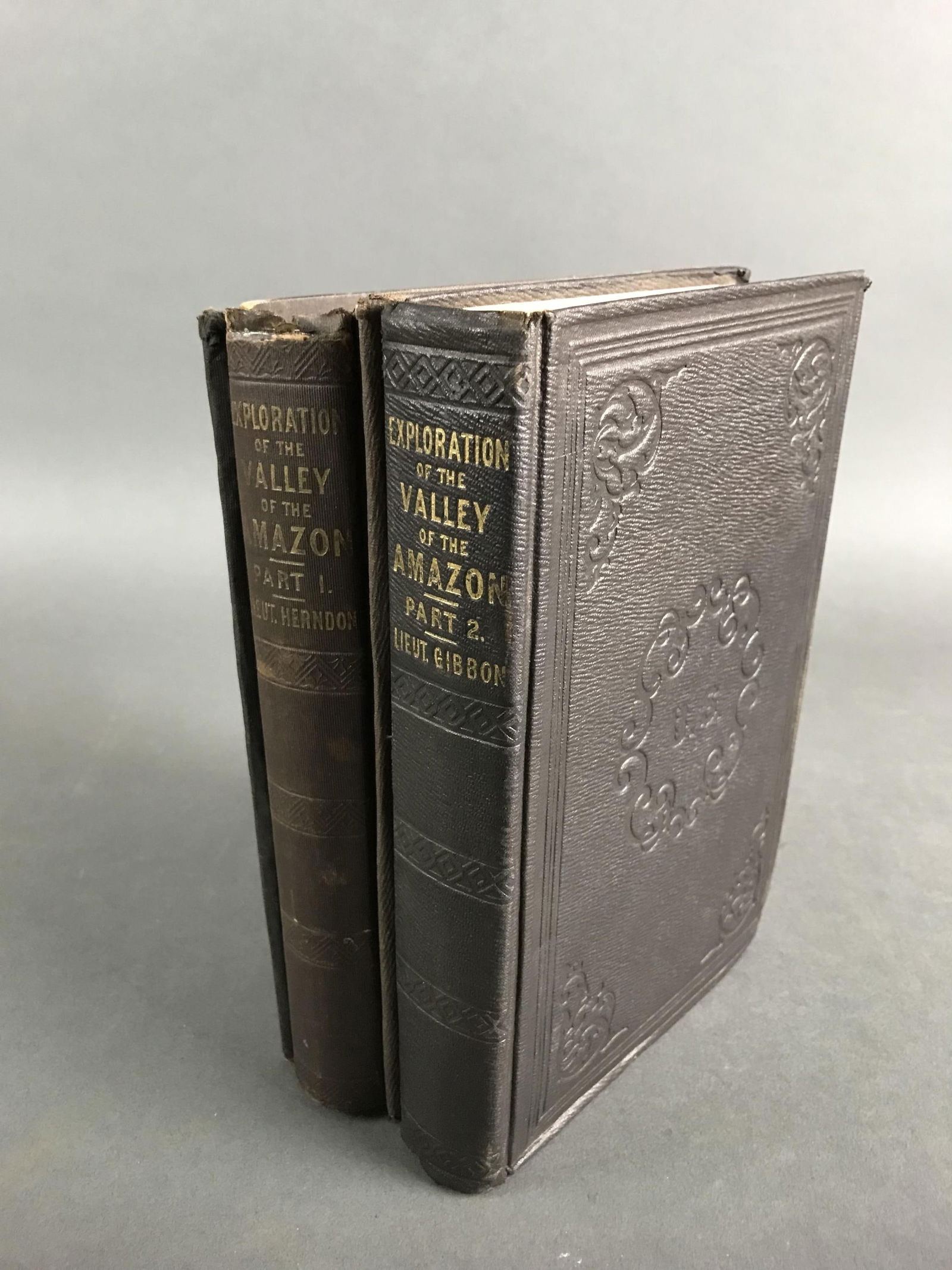 Exploration of the Valley of the Amazon (1 of 5)