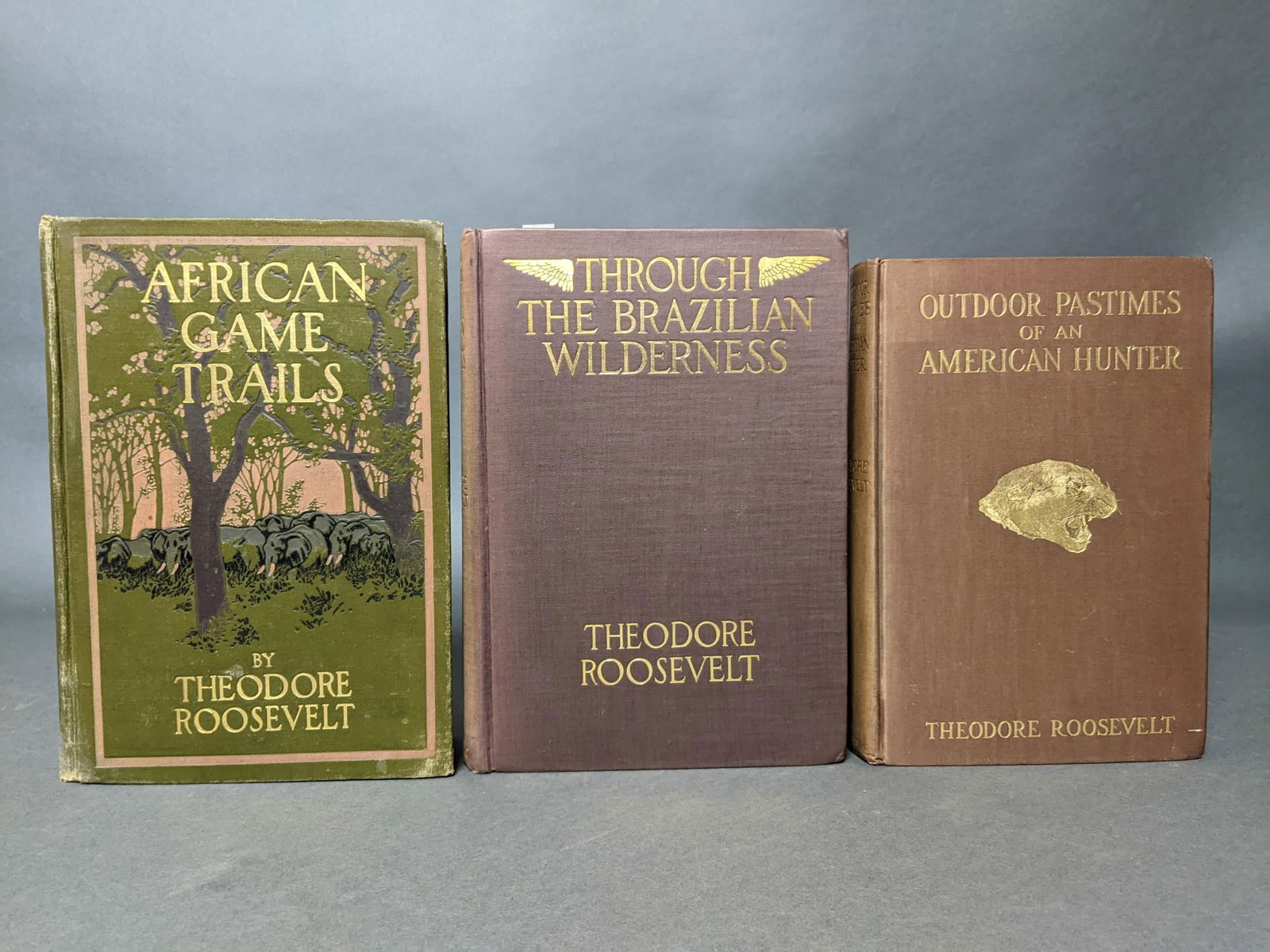 3 vols. Works of Theodore Roosevelt. (1 of 2)