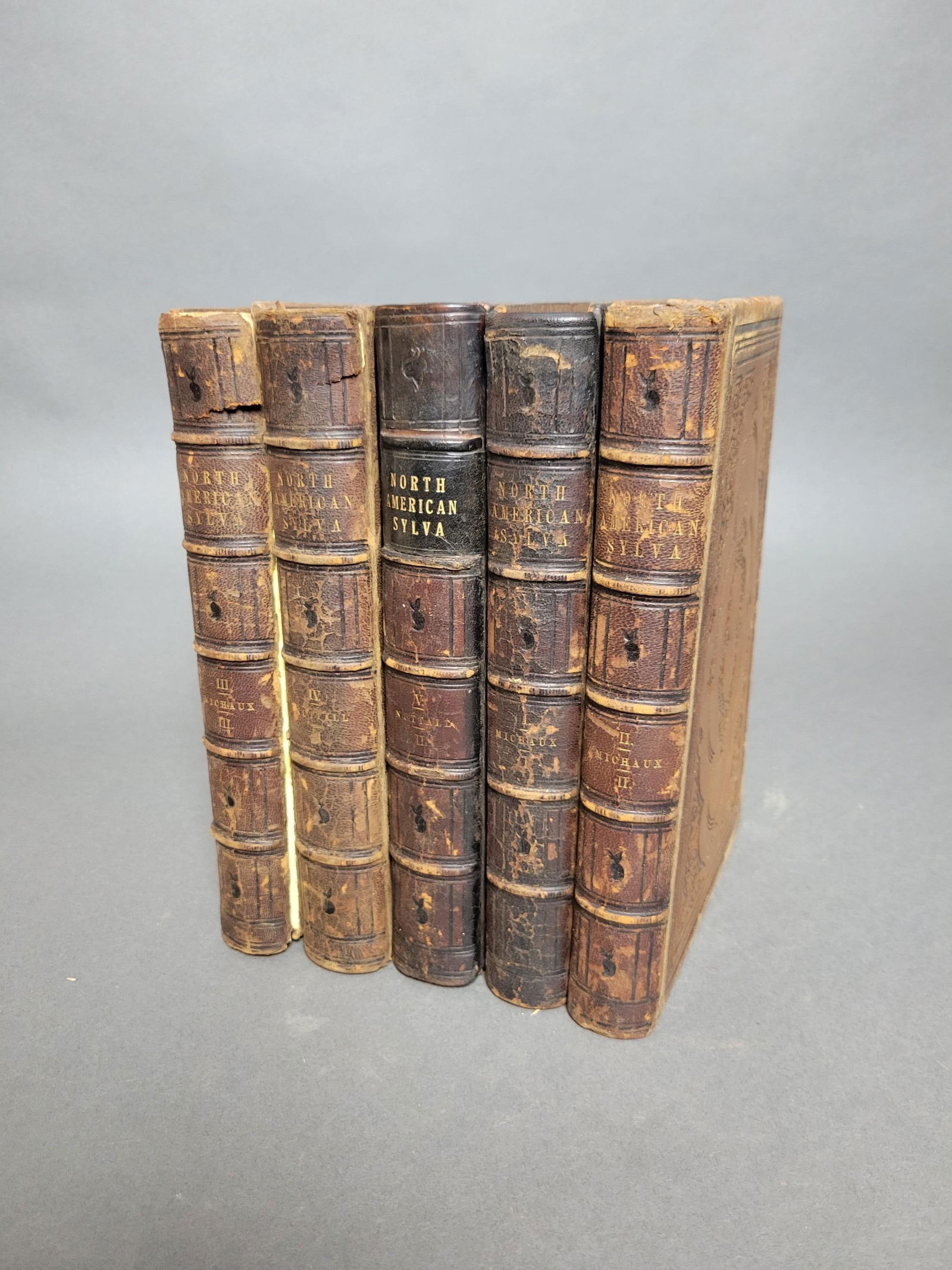 The North American Sylva (1 of 2)