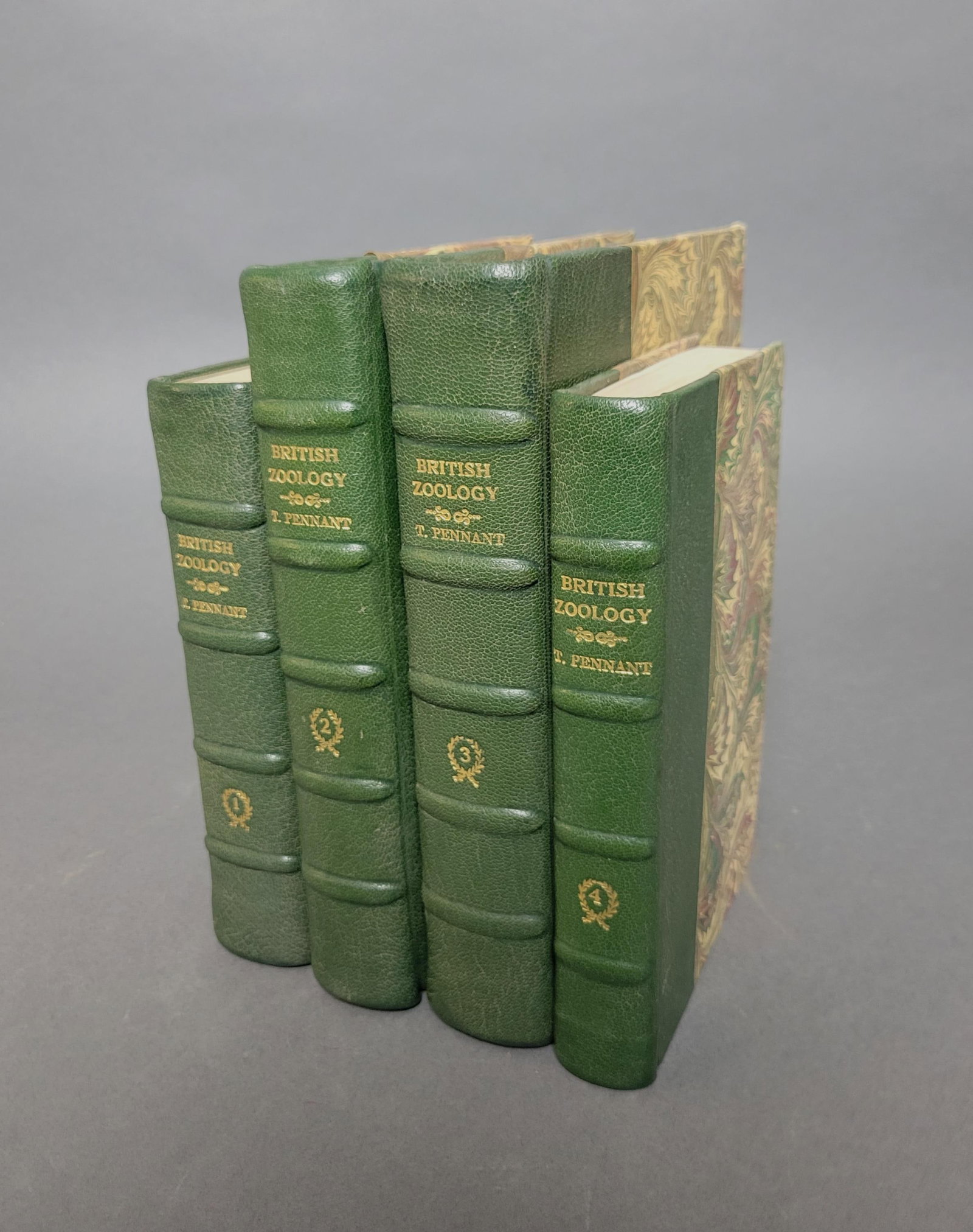 Pennant. British Zoology (1 of 2)