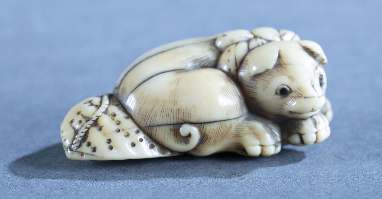Japanese netsuke of reclining puppy.: A Japanese ivory netsuke of puppy reclining on abalone shell. 18th century. Kyoto style. Signed in oval reserve on underside. Puppy with inlaid eyes, old visible fissures in the piece. 2" x 1 1/8" x 3