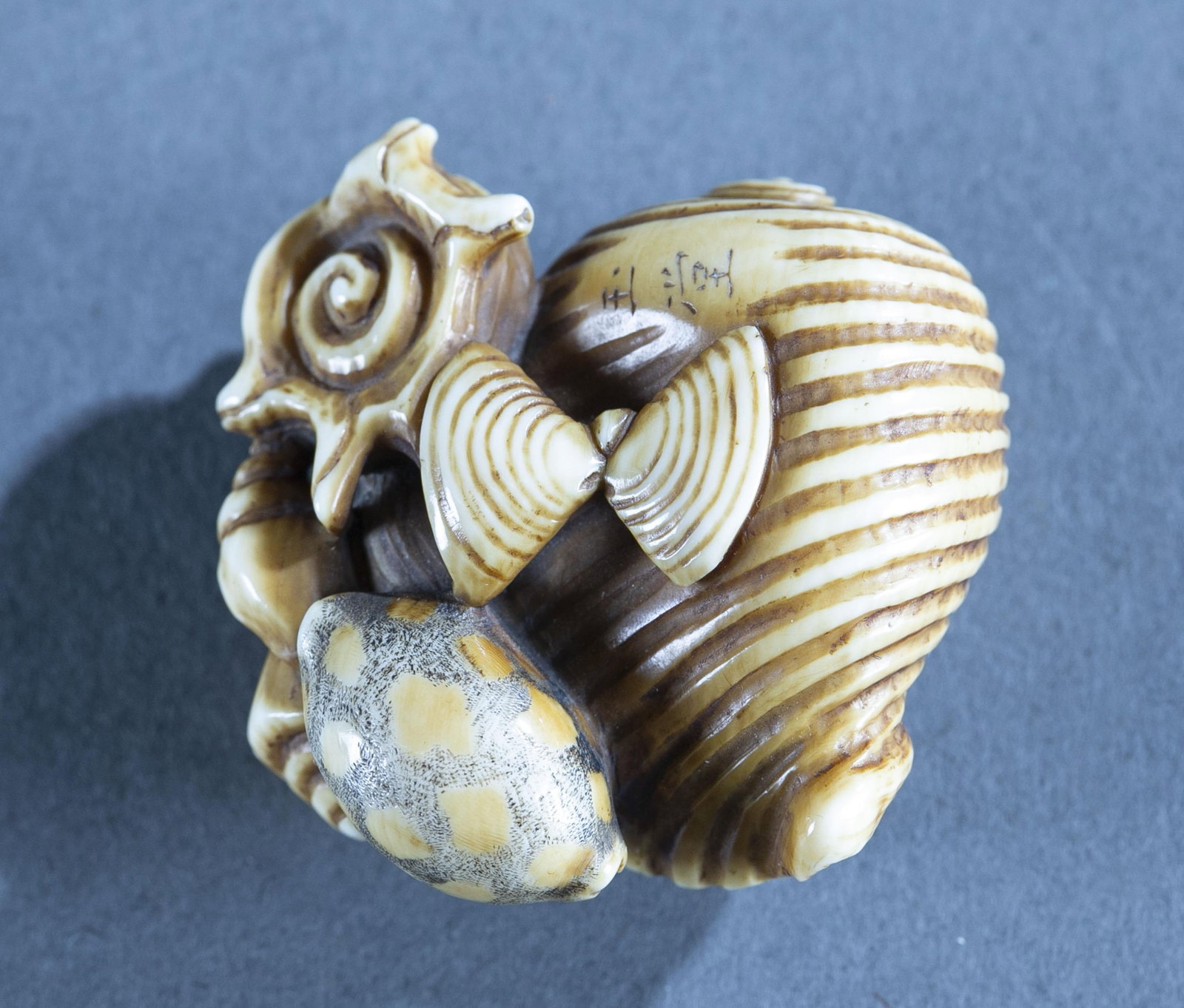 Japanese netsuke of a cluster of shells.: A Japanese ivory netsuke of a cluster of shells. Late 19th century. Signed on the underside. Having natural himotoshi. 1 1/2" x 1 1/4".