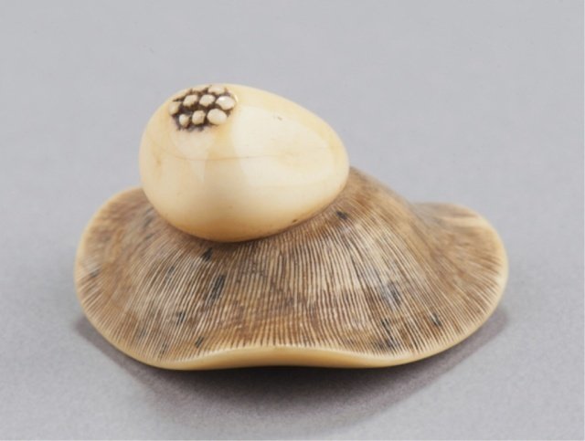 An ivory netsuke of a mushroom.: By Masakazu, Osaka, Mid 19th century. Lying on its top with the gills exposed and the pulpy body covered with raised spores at its top. Signed on the underside near the himotoshi in a wavy, torpedo sh