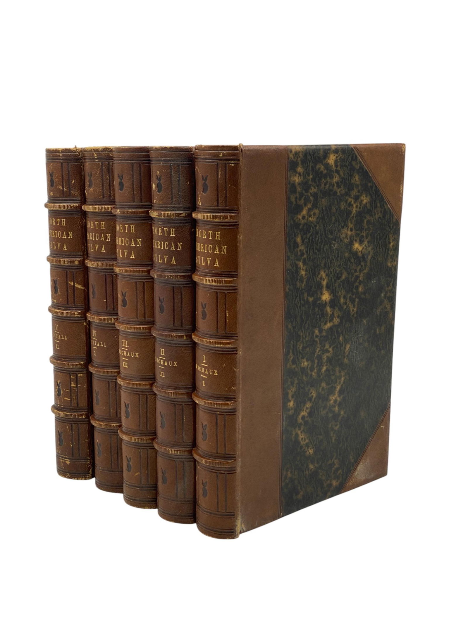 The North American Sylva (1 of 8)