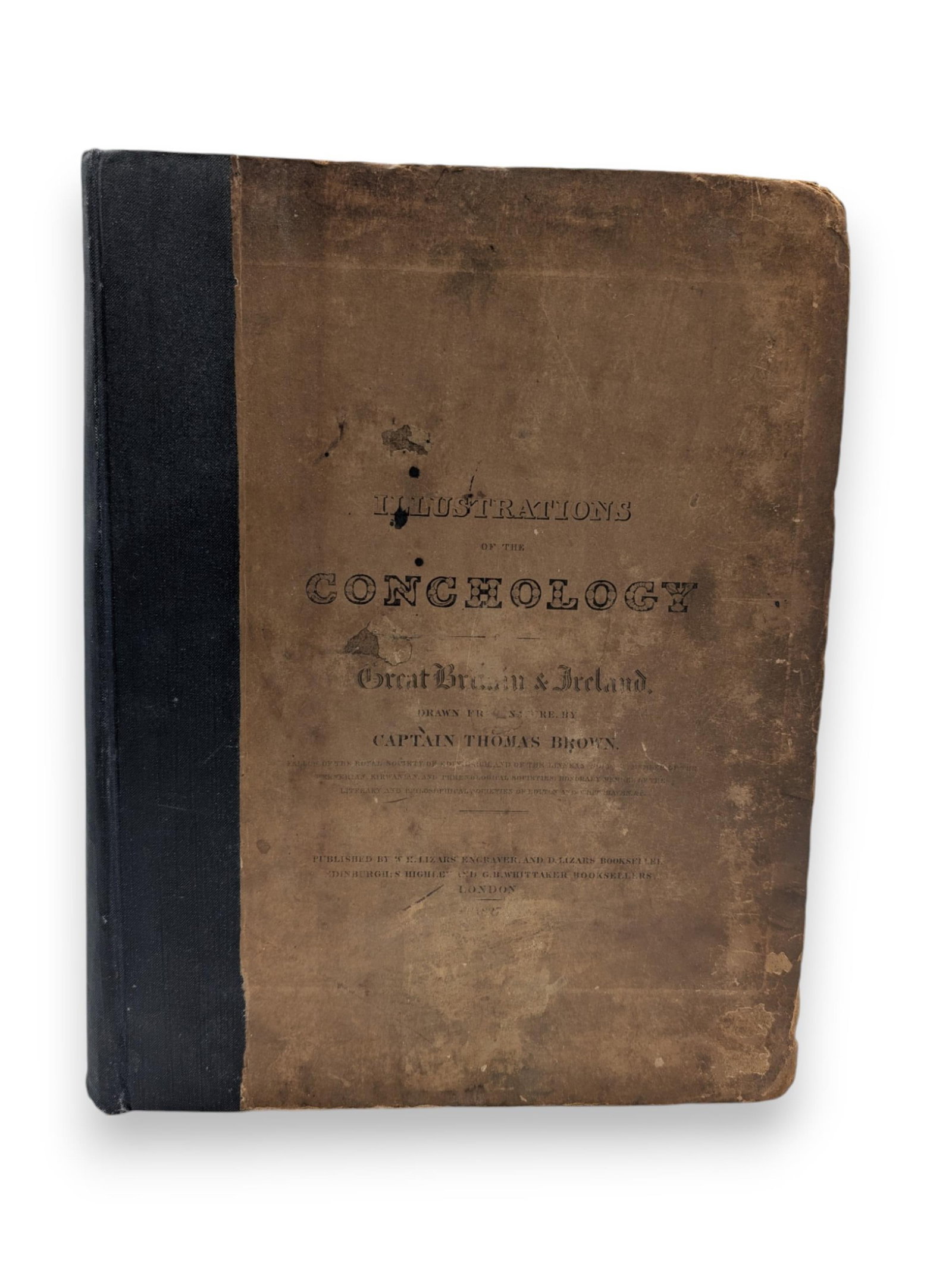 Illustrations of the Conchology: Brown, Captain Thomas. Illustrations of the Conchology of Great Britain and Ireland. Edinburgh & London, printed by John Stark for W.H. & D. Lizars, 1827. First edition. Large 4to. 53 fine hand-colour