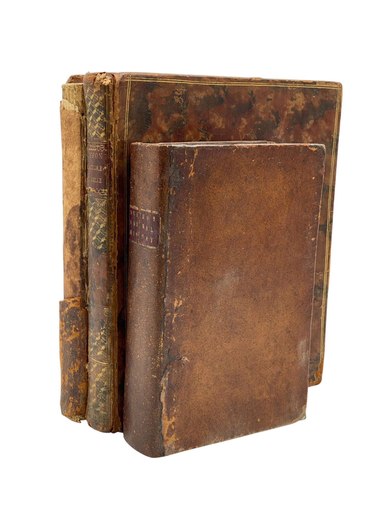 Histoire naturelle des quadrupedes ovipares... (1 of 4)