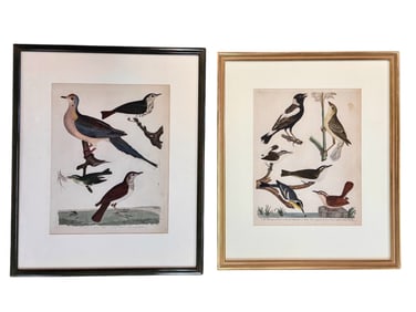 2 Handcolored  Alexander Wilson Engravings