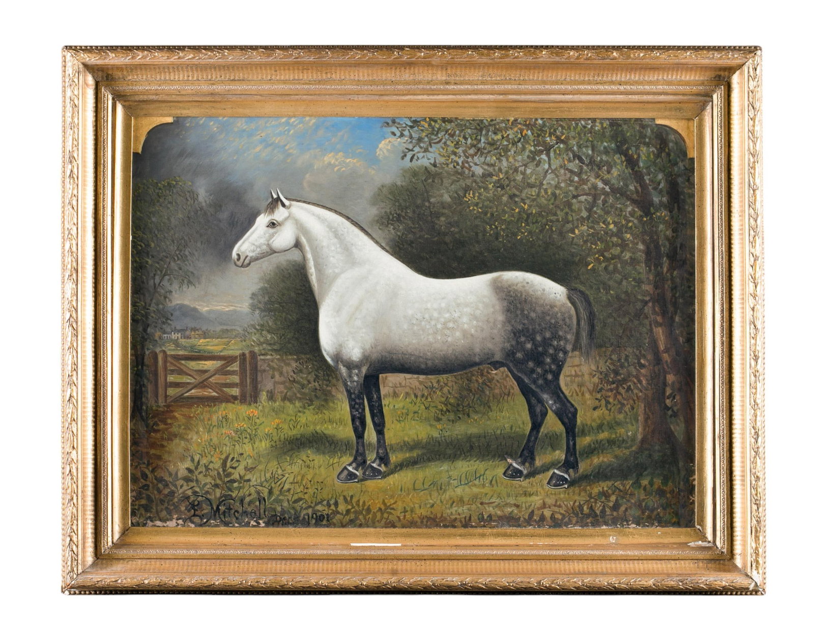 L. Mitchell, Horse, O/C, 1901.: L. Mitchell. Portrait of a horse. Dec. 1901. Oil on canvas. Signed and dated l.l. Sight: 21 1/2" x 29 1/2". Frame: 28 1/2" x 37". Condition: Slight warp, chips to paint, 2 small punctures, loose in fr