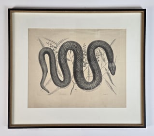 Catesby, "Copper-bellied Snake."