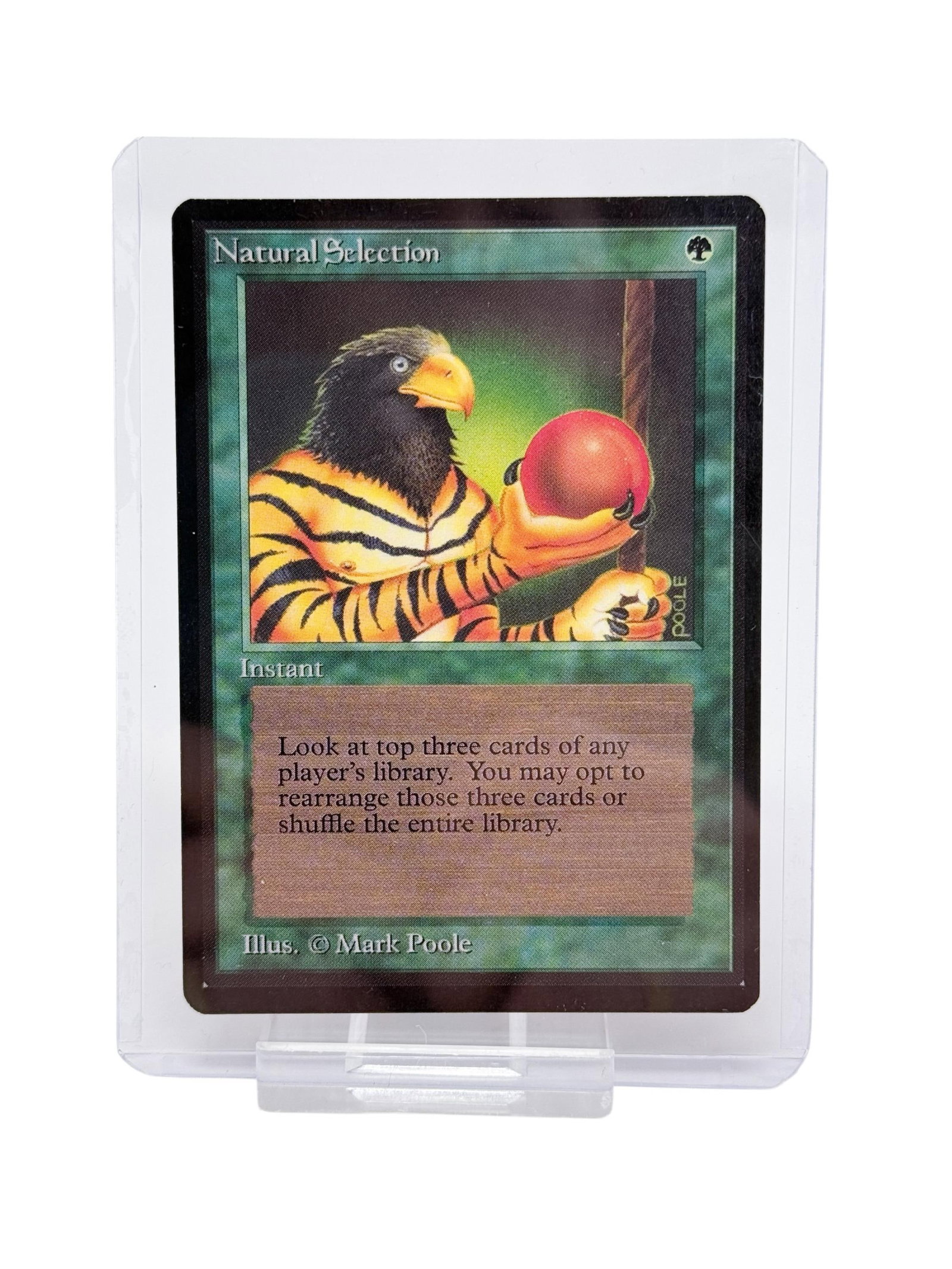 MTG: Beta "Natural Selection" card. (1 of 2)