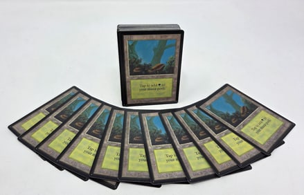 43 MTG: Beta Forest (B) Basic Land cards
