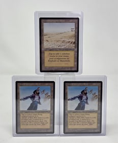 3 MTG: Arabian Nights Land cards