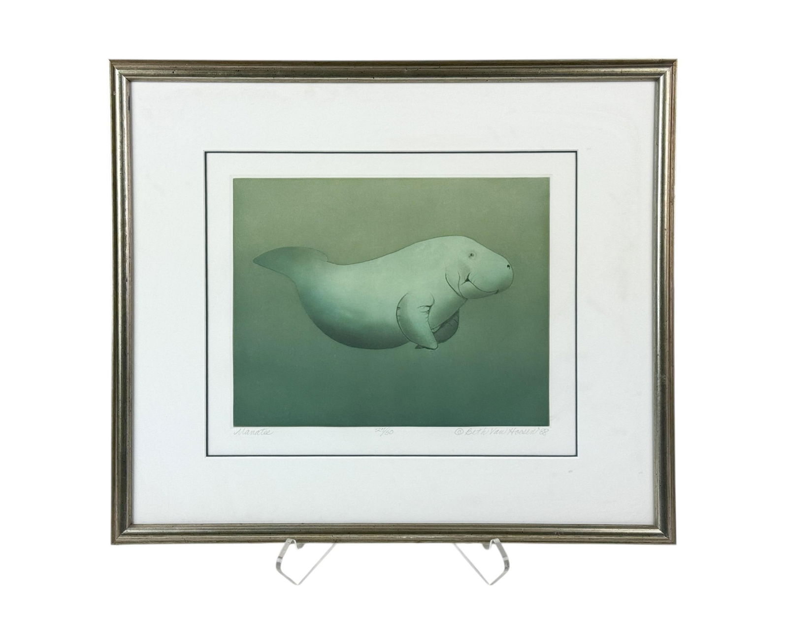 Van Hoesen, "Manatee," 1988, Etching/Aquatint. (1 of 5)