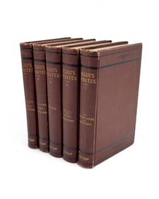 Debates / State Conventions / Federal Constitution