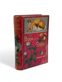 The Book of the Rabbit